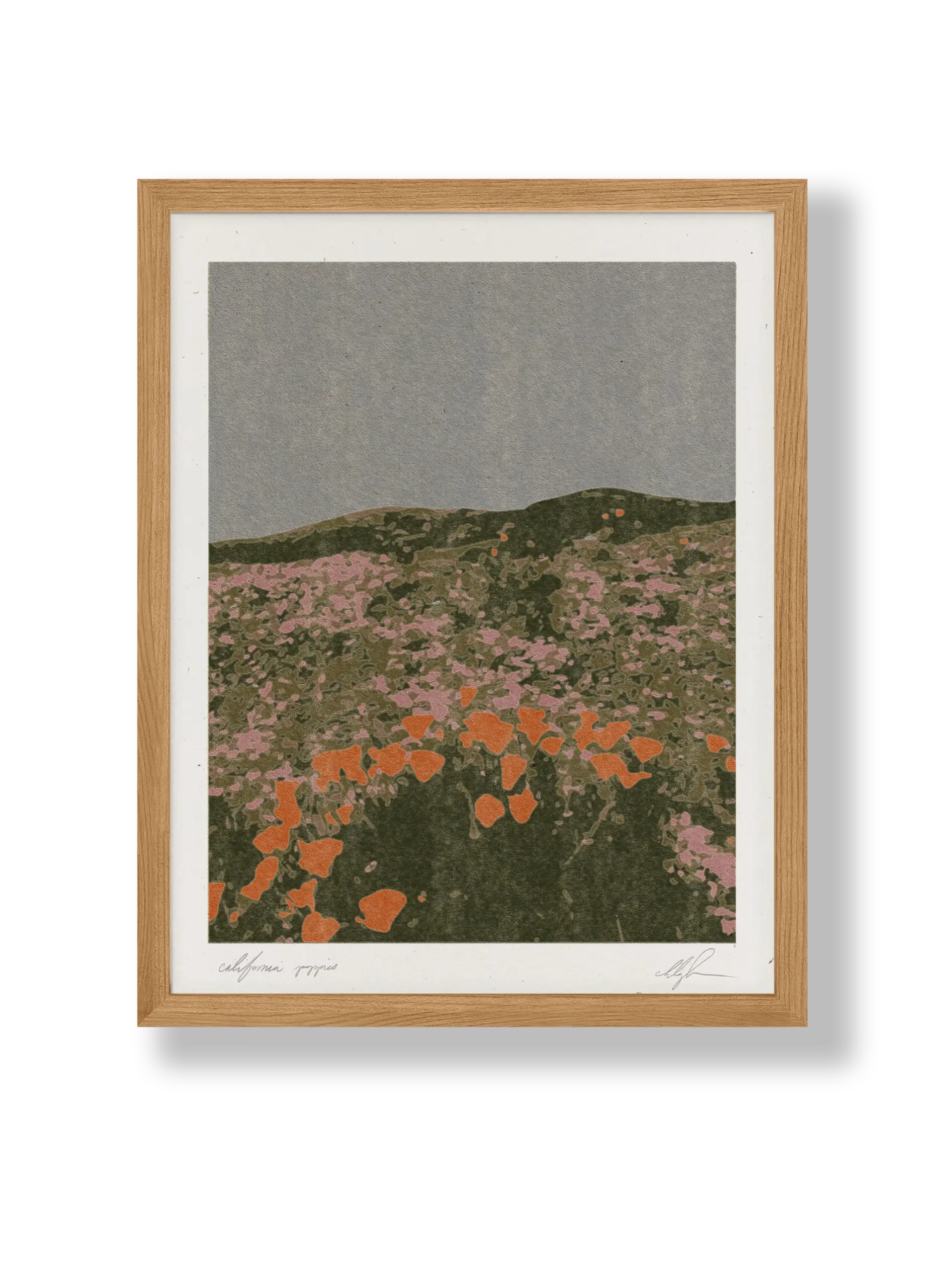 california poppies brazen image